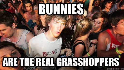 Bunnies are the real grasshoppers  Sudden Clarity Clarence