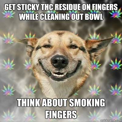 Get Sticky THC residue on fingers while cleaning out bowl Think about smoking fingers  Stoner Dog