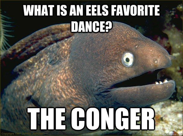 What is an eels favorite dance? The conger - What is an eels favorite dance? The conger  Bad Joke Eel