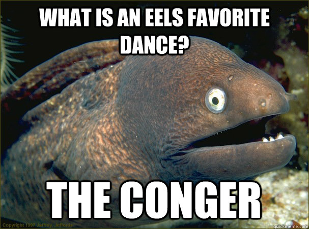 What is an eels favorite dance? The conger  Bad Joke Eel