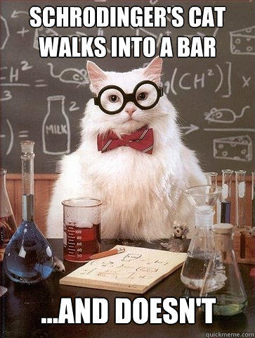 Schrodinger's Cat walks into a bar ...and doesn't  Chemistry Cat