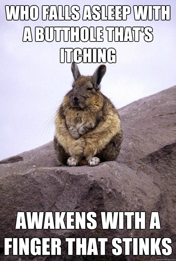 who falls asleep with a butthole that's itching Awakens with a finger that stinks  Wise Wondering Viscacha