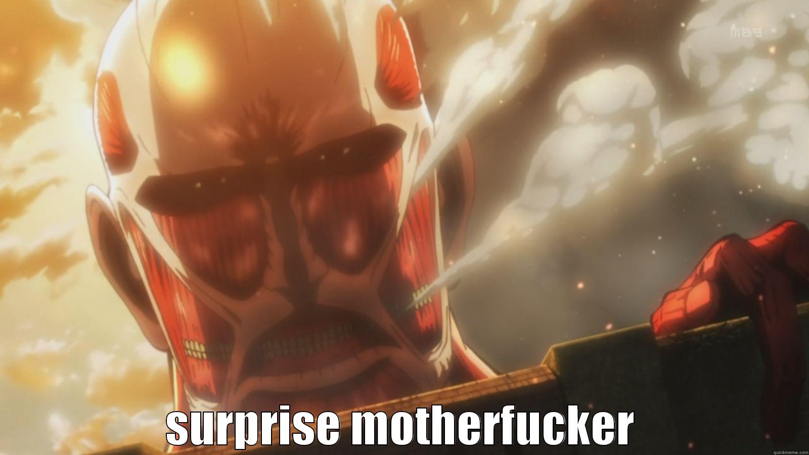  SURPRISE MOTHERFUCKER Misc