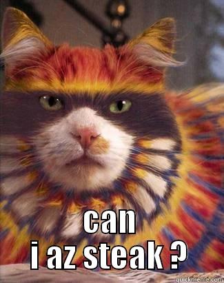    CAN I AZ STEAK ? Misc