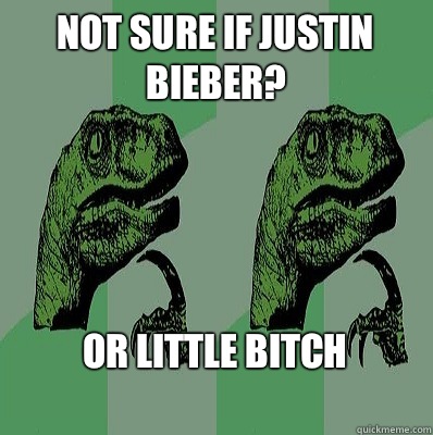 NOT SURE IF JUSTIN BIEBER? OR LITTLE BITCH
  Meme