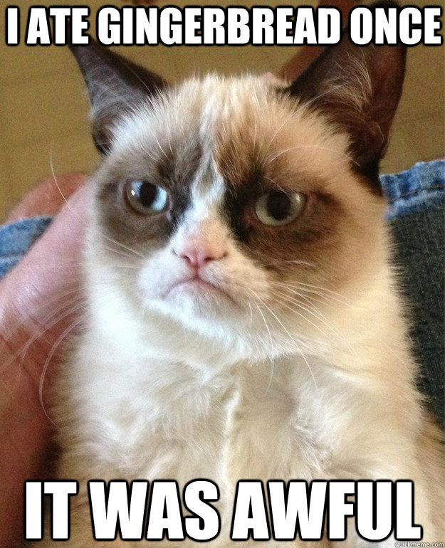 I ate gingerbread once it was awful  Grumpy Cat