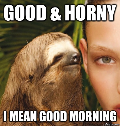 Good & Horny I mean good morning   rape sloth