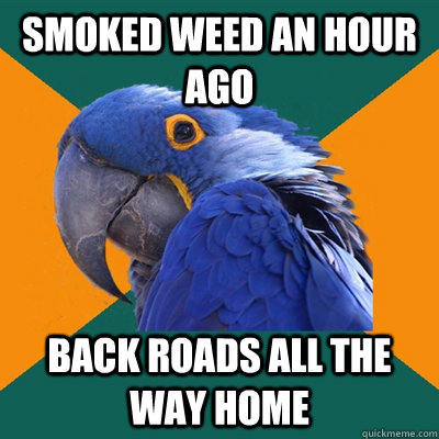 smoked weed an hour ago back roads all the way home  Paranoid Parrot