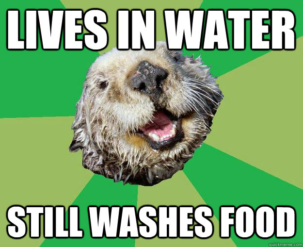lives in water still washes food  OCD Otter