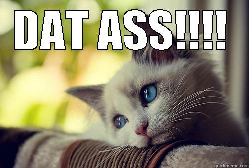 DAT ASS!!!!   First World Problems Cat