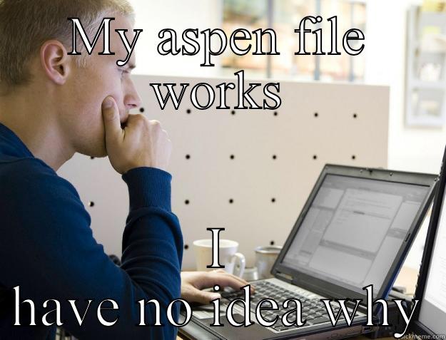 MY ASPEN FILE WORKS I HAVE NO IDEA WHY Programmer