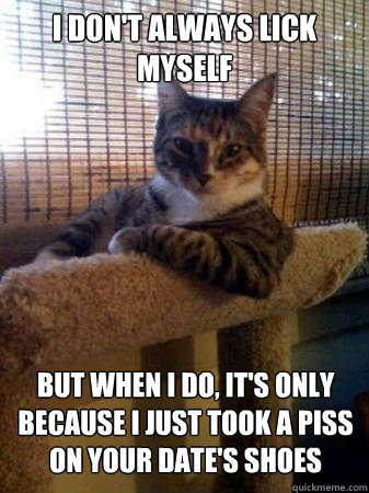 i don't always lick myself but when i do, it's only because i just took a piss on your date's shoes  The Most Interesting Cat in the World