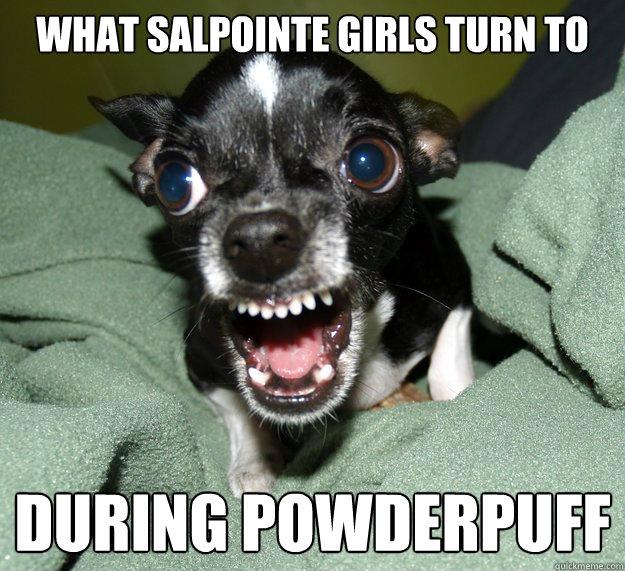 what salpointe girls turn to during powderpuff  Chihuahua Logic