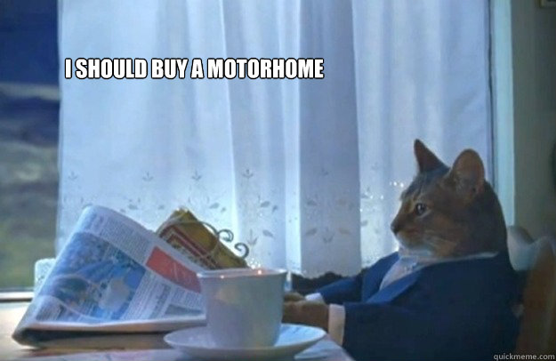 I should buy a motorhome  Sophisticated Cat
