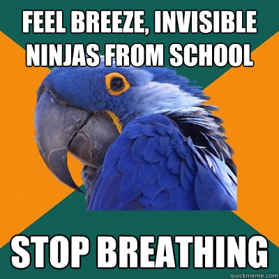 Feel breeze, invisible ninjas from school Stop breathing  Paranoid Parrot