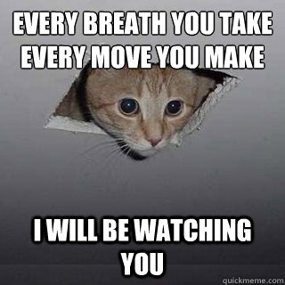 Every breath you take
Every move you make I will be watching you  Ceiling Cat