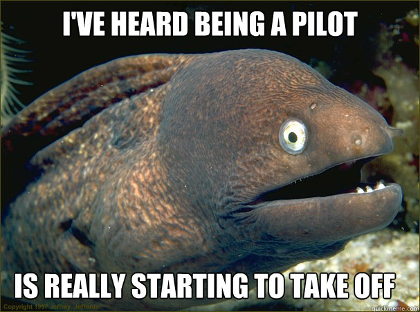 I've heard being a pilot Is really starting to take off  Bad Joke Eel