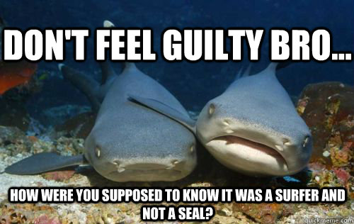 Don't feel guilty bro... How were you supposed to know it was a surfer and not a seal?  Compassionate Shark Friend