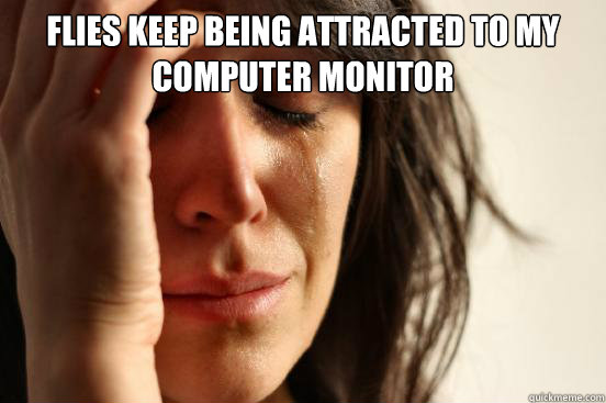 Flies keep being attracted to my computer monitor  First World Problems