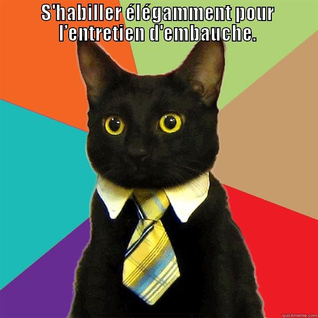 S'HABILLER ÉLÉGAMMENT POUR L’ENTRETIEN D'EMBAUCHE.  Business Cat