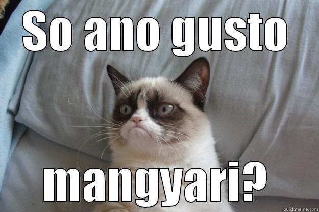 SO ANO GUSTO MANGYARI? Grumpy Cat