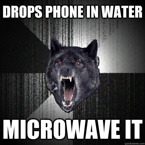 Drops phone in water Microwave it  Insanity Wolf