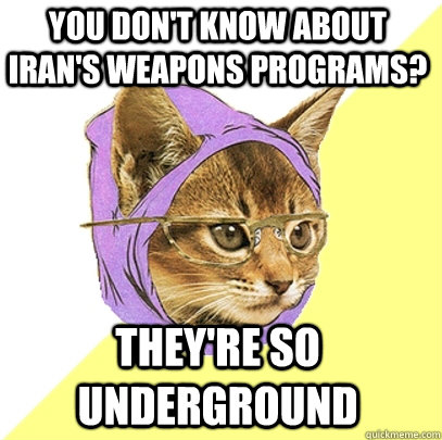you don't know about iran's weapons programs? they're so underground  Hipster Kitty
