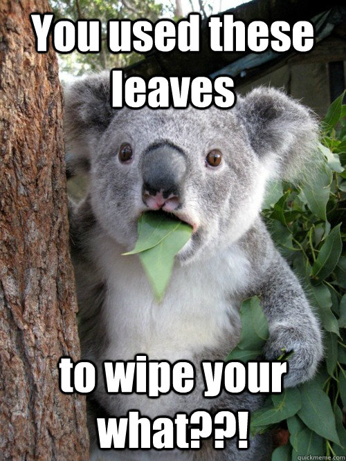 You used these leaves to wipe your what??!  Shocked Koala