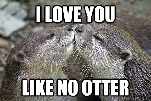 I love you like no otter - I love you like no otter  I Love You Like No Otter