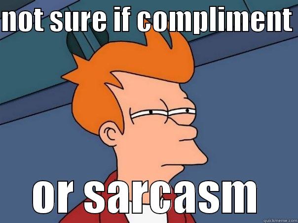 NOT SURE IF COMPLIMENT  OR SARCASM Futurama Fry