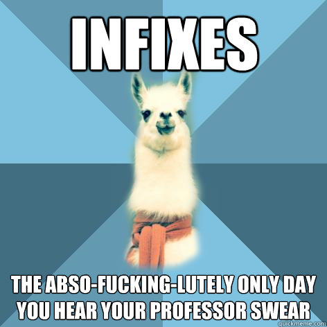 Infixes The abso-fucking-lutely only day you hear your professor swear - Infixes The abso-fucking-lutely only day you hear your professor swear  Linguist Llama