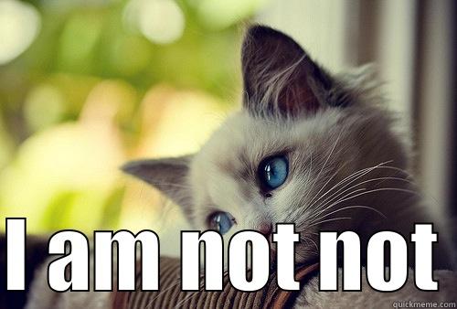  I AM NOT NOT First World Problems Cat