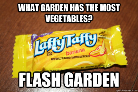 What garden has the most vegetables? Flash Garden  