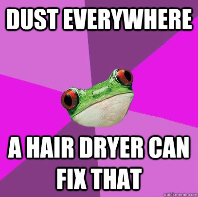 Dust Everywhere A hair dryer can fix that - Dust Everywhere A hair dryer can fix that  Foul Bachelorette Frog
