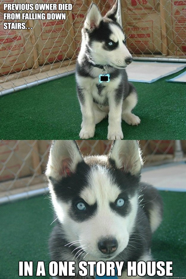 Previous owner DIED
FROM FALLING DOWN
STAIRS. . . IN A ONE STORY HOUSE  Insanity puppy