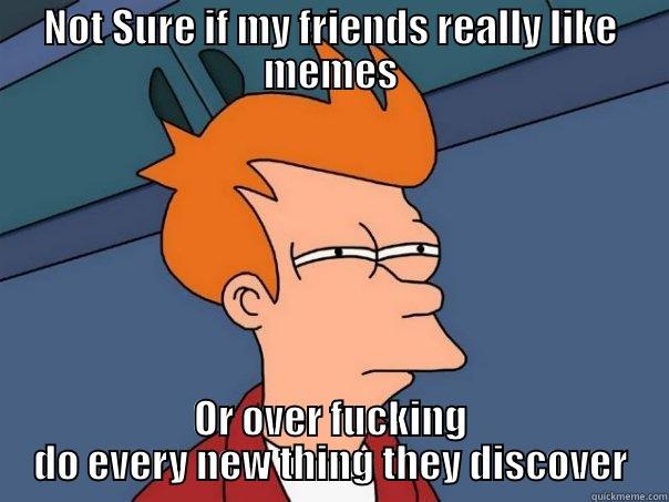 NOT SURE IF MY FRIENDS REALLY LIKE MEMES OR OVER FUCKING DO EVERY NEW THING THEY DISCOVER Futurama Fry