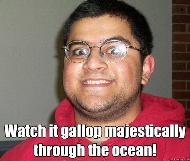  Watch it gallop majestically through the ocean!  Nerdy indian boy