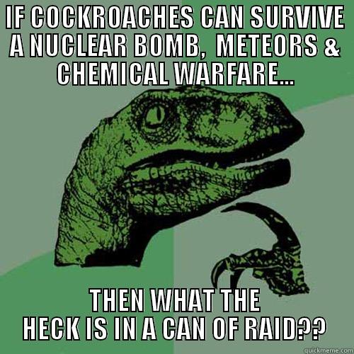 IF COCKROACHES CAN SURVIVE A NUCLEAR BOMB,  METEORS & CHEMICAL WARFARE... THEN WHAT THE HECK IS IN A CAN OF RAID?? Philosoraptor