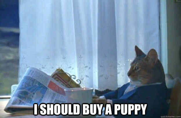  I should buy a puppy -  I should buy a puppy  Sophisticated Cat