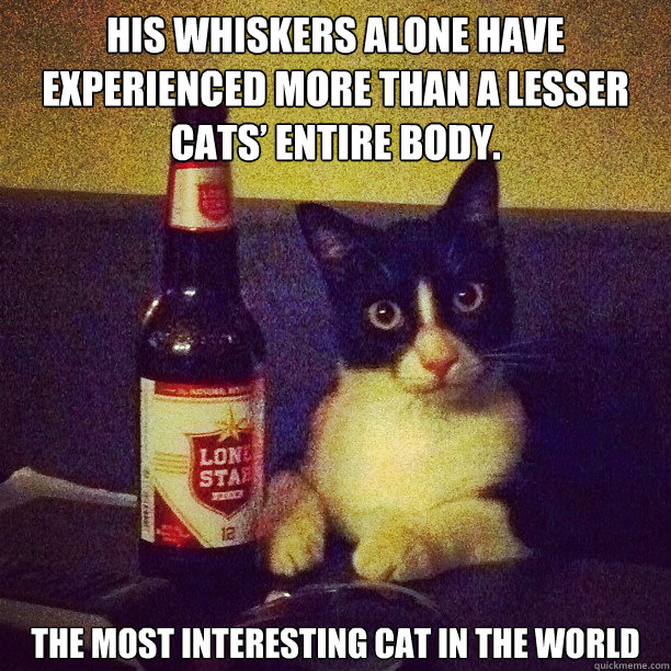 His whiskers alone have experienced more than a lesser cats’ entire body. The Most Interesting Cat in the World  The Most Interesting Cat in the World