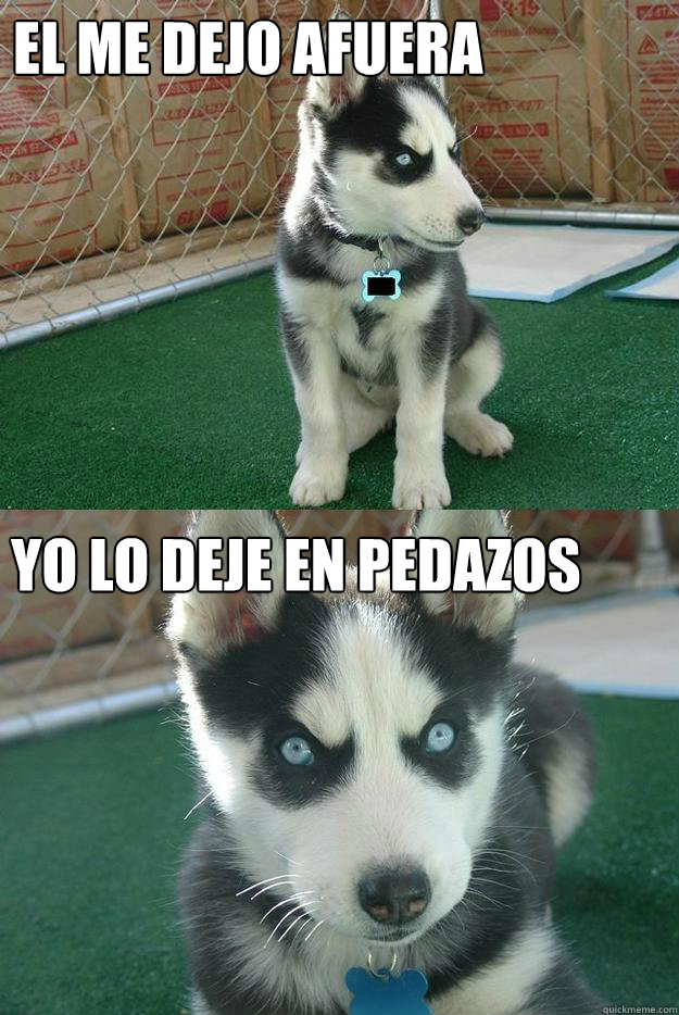el me dejo afuera yo lo deje en pedazos  Insanity puppy
