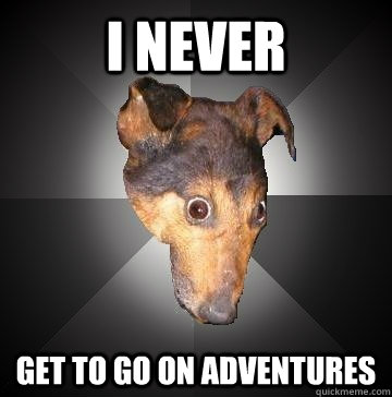 I NEVER GET TO GO ON ADVENTURES  Depression Dog