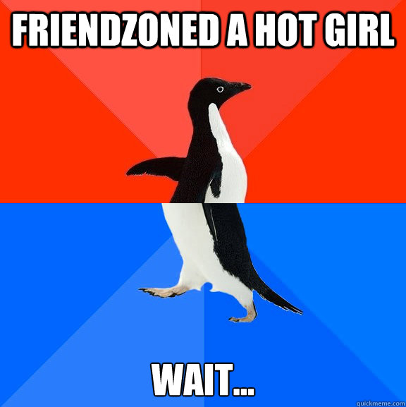 Friendzoned a hot girl wait...  Socially Awesome Awkward Penguin