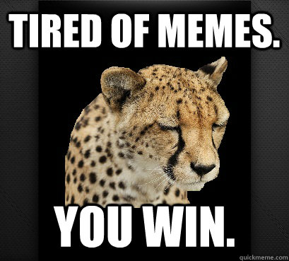 Tired of memes. You win. - Tired of memes. You win.  Defeated Cheetah