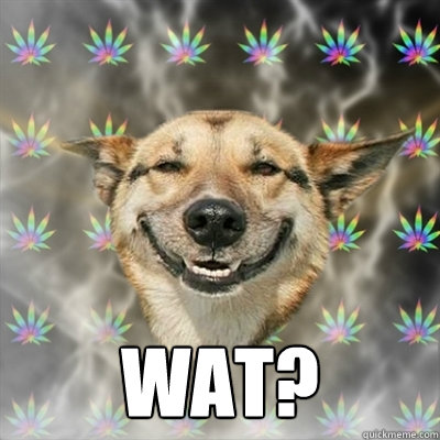  Wat?  Stoner Dog