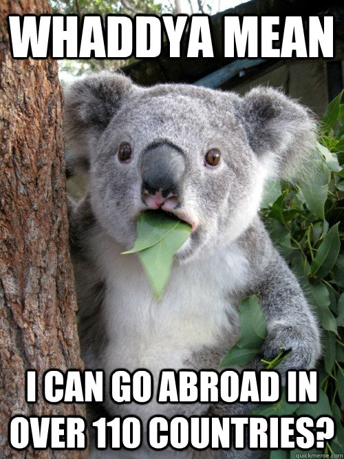 Whaddya mean I can go abroad in over 110 countries?  koala bear