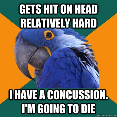 gets hit on head relatively hard i have a concussion. i'm going to die  Paranoid Parrot