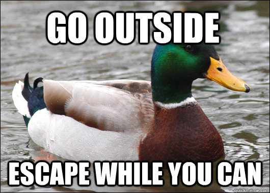 GO OUTSIDE ESCAPE WHILE YOU CAN  Actual Advice Mallard