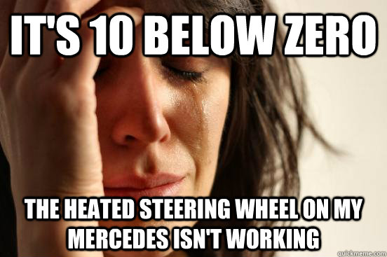 It's 10 below zero The heated steering wheel on my Mercedes isn't working  First World Problems