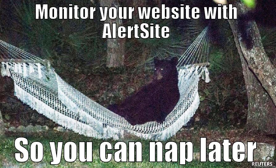 take a nap later bear - MONITOR YOUR WEBSITE WITH ALERTSITE SO YOU CAN NAP LATER Misc